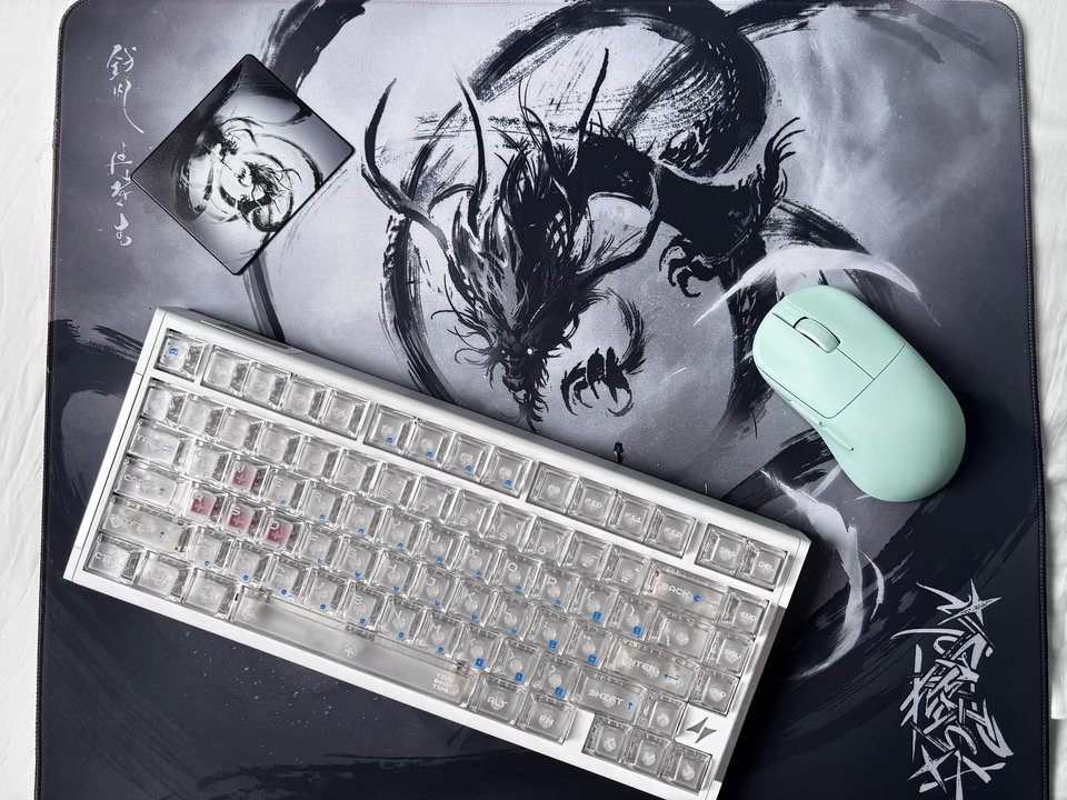 HaoFengQi Esports Cang Or Xiao - Esports Or Gaming 리뷰 및 가격