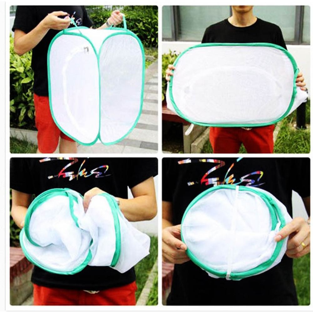 Green Collapsible Insect Cage  - Green Screen Collapsible 리뷰 및 가격