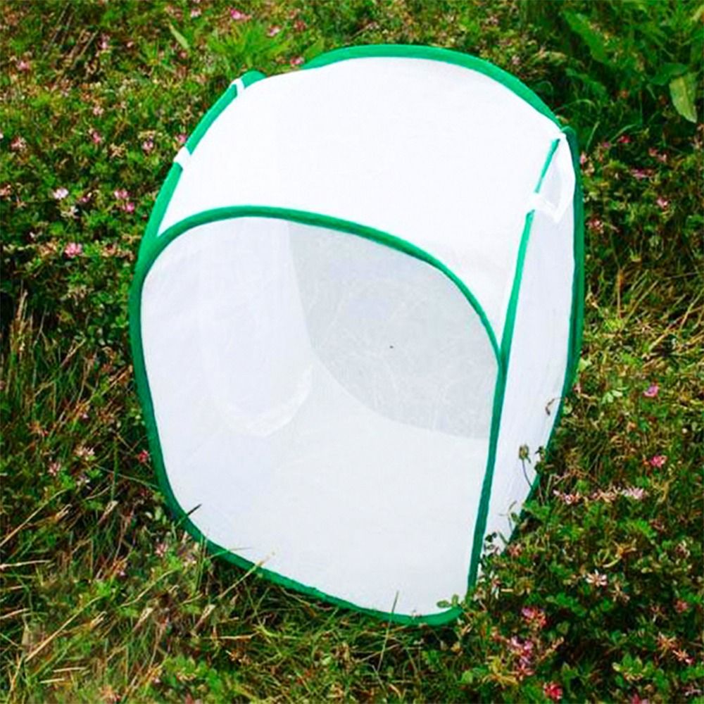 Green Collapsible Insect Cage  - Green Screen Collapsible 리뷰 및 가격