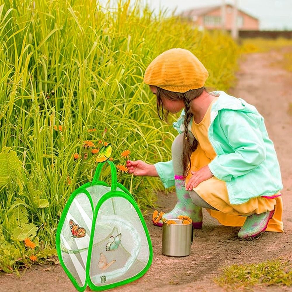 Green Collapsible Insect Cage  - Green Screen Collapsible 리뷰 및 가격