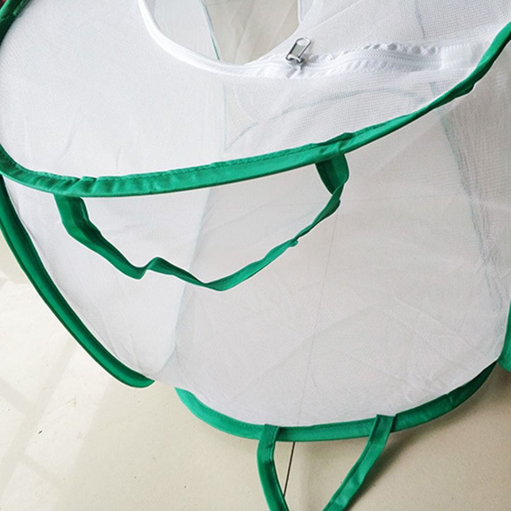 Green Collapsible Insect Cage  - Green Screen Collapsible 리뷰 및 가격