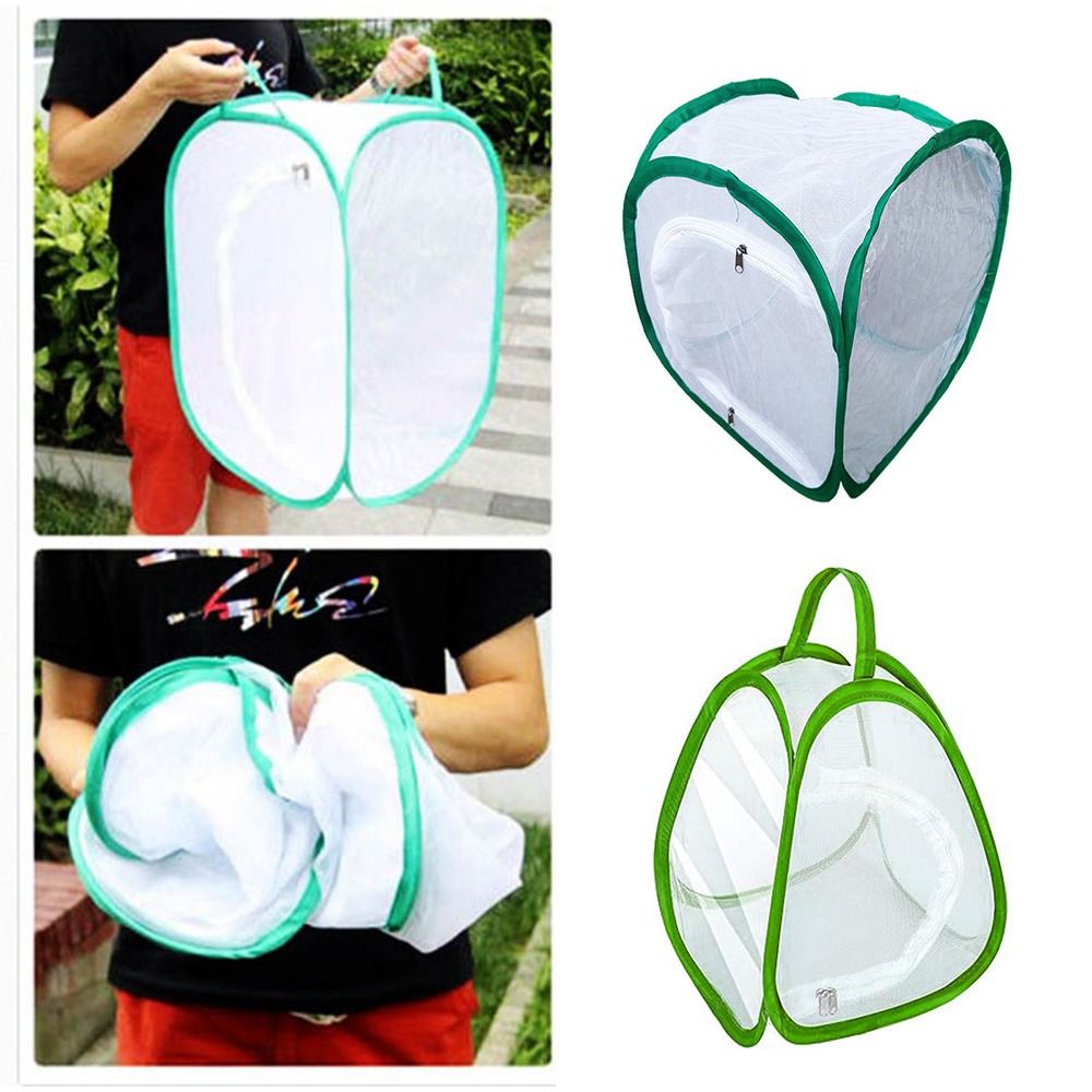 Green Collapsible Insect Cage  - Green Screen Collapsible 리뷰 및 가격