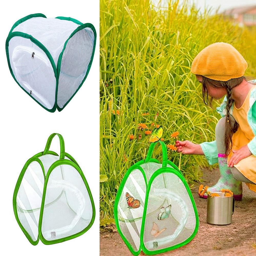 Green Collapsible Insect Cage  - Green Screen Collapsible 리뷰 및 가격