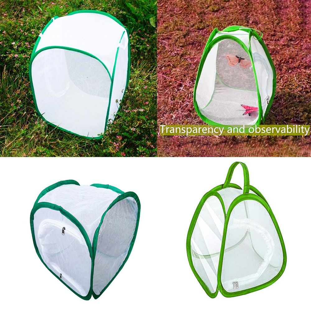 Green Collapsible Insect Cage  - Green Screen Collapsible 리뷰 및 가격