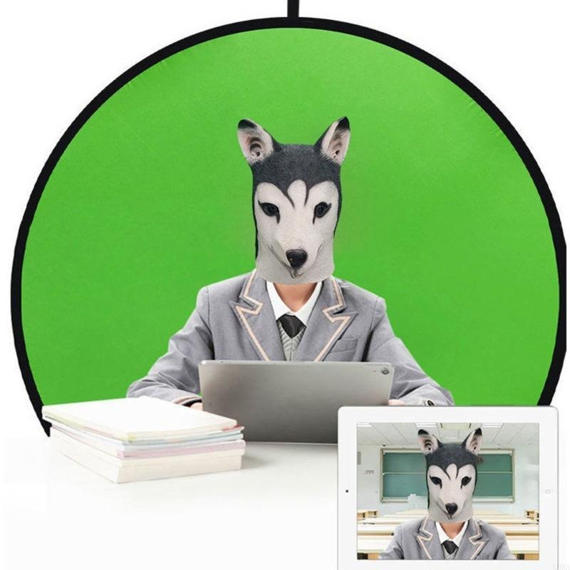 CORA Green Screen Upgraded Por - Green Screen Collapsible 리뷰 및 가격